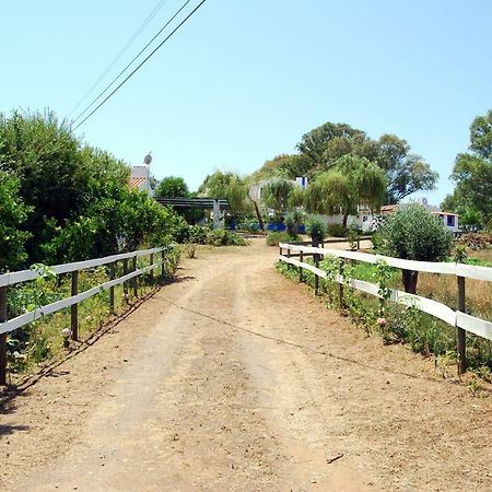Charnequinha Silveiras Monte Das Silveirinhas - Casa Ruralヴィラ エクステリア 写真